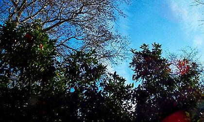 Συνεχίζονται και σήμερα οι Αλκυονίδες: Μέχρι 18 βαθμούς η θερμοκρασία