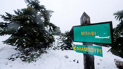 Δύο οικογένειες εγκλωβίστηκαν στην Πάρνηθα