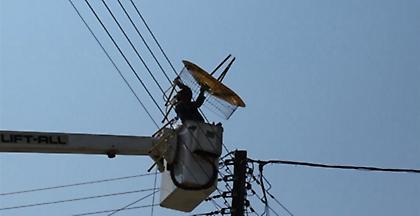 Παραμένουν τα προβλήματα ηλεκτροδότησης σε περιοχές της ανατολικής Αττικής