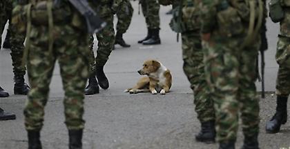 Βενεζουέλα: Λιποτάκτησαν στην Κολομβία 156 στρατιωτικοί και αστυνομικοί