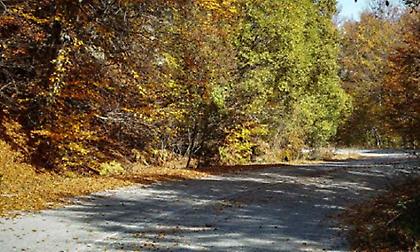 Ιωάννινα: Νεκρός εντοπίστηκε κυνηγός που αγνοούνταν