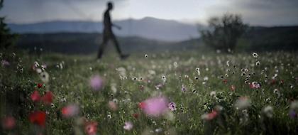 Ανοιξιάτικος ο καιρός σήμερα - Ήλιος και συννεφιά