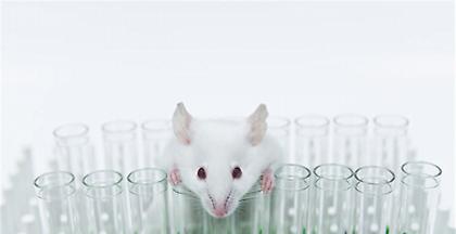 Σούπερ ποντίκια που μπορούν να βλέπουν στο σκοτάδι