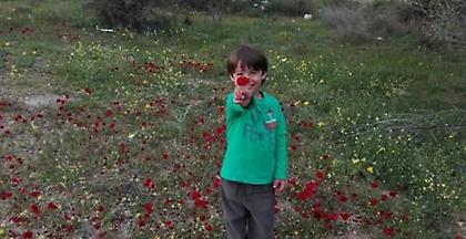 Έφυγε από τη ζωή ο μικρός Χριστόφορος - Το κατηγορώ της μάνας στην Πολιτεία