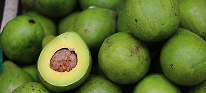 Πάνω από 1 τόνος ακατάλληλα αβοκάντο και κουνουπίδια σε επιχείρηση του Πειραιά