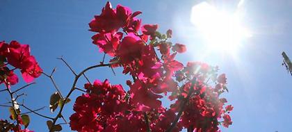 Αίθριος ο καιρός και σήμερα - Νέα άνοδος της θερμοκρασίας