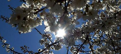 Καιρός: Θα θυμίζει καλοκαίρι το Σάββατο - Μέχρι τους 25 βαθμούς η θερμοκρασία