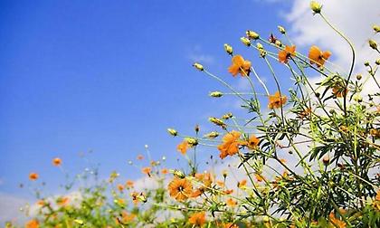 Καιρός: Τελειώνει αύριο το μικρό καλοκαίρι - Καταιγίδες, θυελλώδεις άνεμοι και χιόνια από Τρίτη