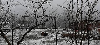 Απότομη βουτιά της θερμοκρασίας -Πτώση έως και 19 β. σε μια μέρα στη βόρεια Ελλάδα