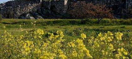 Αίθριος ο καιρός την Κυριακή, ανεβαίνει η θερμοκρασία