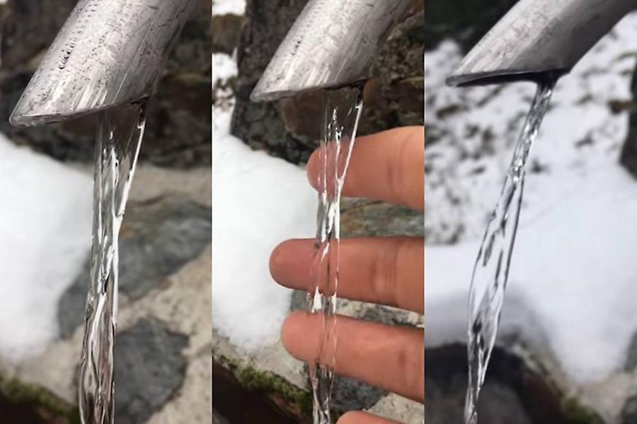 Όταν η φύση μας ξεγελάει: Η νέα οφθαλμαπάτη που έχει τρελάνει το διαδίκτυο (vid)