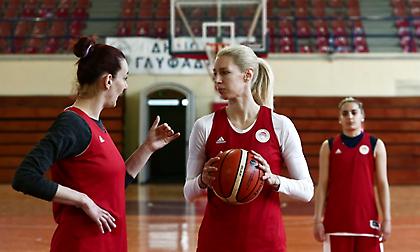 Σωτηρίου: «Ιδιαίτερος ο ημιτελικός με Παναθηναϊκό, αλλά υπερέχουμε σε όλους τους τομείς»