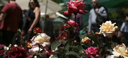 Αίθριος ο καιρός το Σάββατο - Πού θα βρέξει το βράδυ