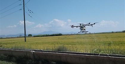 Τεχνητή νοημοσύνη, big data και drones για την καταπολέμηση των κουνουπιών