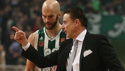 «Αλαλούμ χωρίς Πιτίνο ο Παναθηναϊκός - 