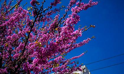 Μερομήνια: Τι καιρό θα κάνει το Πάσχα 2019