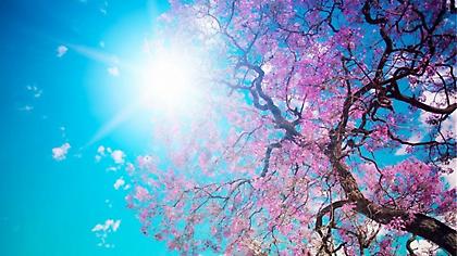 Πρωταπριλιά με ήλιο και άνοδο της θερμοκρασίας