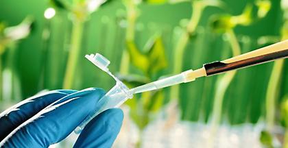 Επιστήμονες με Ελληνίδα επικεφαλής τροποποίησαν φυτά