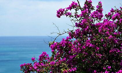 Μερομήνια: Τι καιρό θα κάνει το Πάσχα