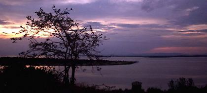 Ουγκάντα: Ενοπλοι απήγαγαν Αμερικανίδα τουρίστρια-Ζητούν λύτρα 500.000 δολάρια