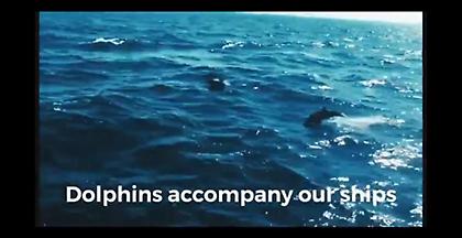 Τι απαντά η Τουρκία για τα νεκρά δελφίνια κατά την άσκηση «Γαλάζια Πατρίδα»