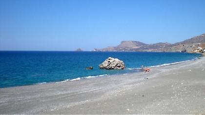 Κρήτη: Νεκρό δελφίνι «ξέβρασε» η θάλασσα σε παραλία