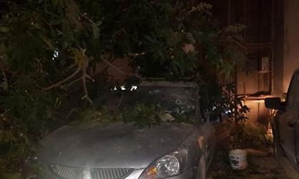 Λιβύη: Νεκροί από ρουκέτες που έπληξαν συνοικίες της Τρίπολης