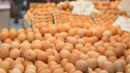 Δέσμευση 33.000 αυγών σε επιχείρηση του Πειραιά