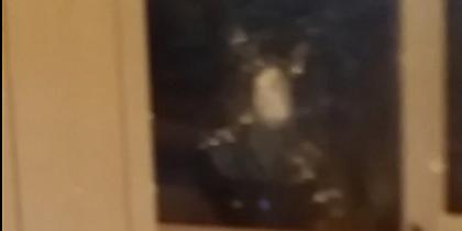 Επίθεση σε κρεοπωλείο στα Εξάρχεια από τα «Πασχαλινά Σφυριά» -Εσπασαν την τζαμαρία