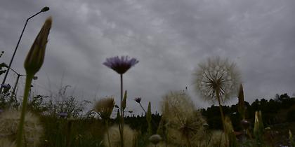 Καιρός: Συννεφιά, αφρικανική σκόνη και βροχές σήμερα