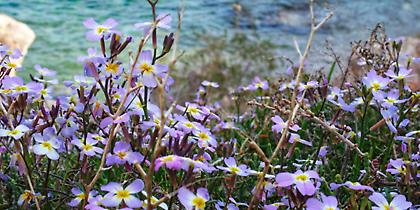 Καλοκαιρινός ο καιρός και τη Δευτέρα του Πάσχα - Με ζέστη και ήλιο
