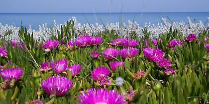 Ο καιρός την Τρίτη: Ζέστη και συννεφιές - Σε ποιες περιοχές θα βρέξει