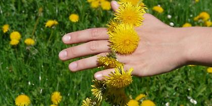 Πρωτομαγιά στην Ελλάδα: Στεφάνια με σκόρδα για τη βασκανία και τσουκνίδες για τους εχθρούς