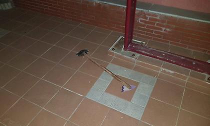 Επίθεση σε σύλλογο με στόχο τον ίδιο καταγγέλλει ο Νικολαΐδης