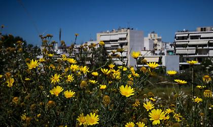 Αίθριος ο καιρός σήμερα -Πού θα βρέξει