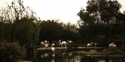 Καιρός: Βροχές και αφρικανική σκόνη την Κυριακή