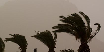 Ισχυροί άνεμοι στην Κρήτη: Σήκωσαν τραπέζια από μπαλκόνια, ξήλωσαν δέντρα (pics)