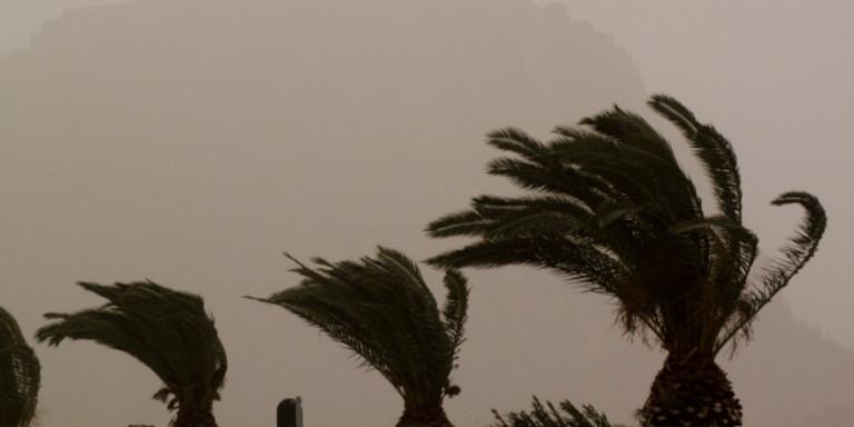 Ισχυροί άνεμοι στην Κρήτη: Σήκωσαν τραπέζια από μπαλκόνια, ξήλωσαν δέντρα (pics)