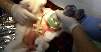 Κατερίνη: Βρέφος γεννήθηκε σε Ι.Χ με την βοήθεια αστυνομίας και ΕΚΑΒ (pics)