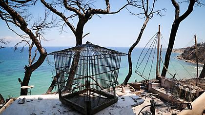 Μάτι: Το συγκλονιστικό σκίτσο μαθήτριας για την τραγωδία που έγινε viral