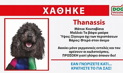Δεύτερο σποτ των ΑΝΕΛ: Χάθηκε ο... Thanassis το κανίς (video)