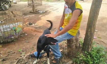 Σκύλος σώζει νεογέννητο μωρό -Το είχε θάψει ζωντανό η ανήλικη μητέρα του