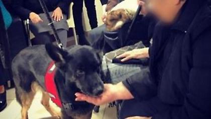 Ανάπηρος σκύλος έσωσε νεογέννητο που το έθαψαν ζωντανό σε χωράφι