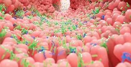 Το έντερο μπορεί να βοηθήσει στην αντιμετώπιση του άγχους