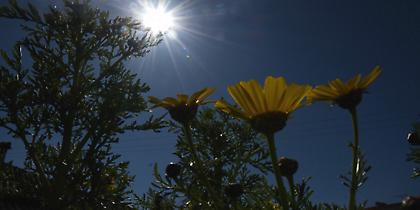 Καιρός: Καλός ο καιρός και σήμερα με μικρή άνοδο της θερμοκρασίας