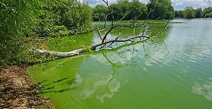 «Πήχτρα» στα αντιβιοτικά πολλά ποτάμια στη Γη