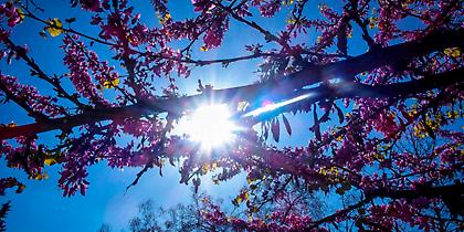 Πέφτει ελαφρώς η θερμοκρασία -Σε ποιες περιοχές αναμένονται βροχές