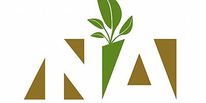 Το λογότυπο της Νέας Δημοκρατίας έγινε... πράσινο!