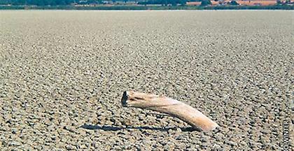 Κίνδυνος ερημοποίησης σε ελληνικές περιοχές
