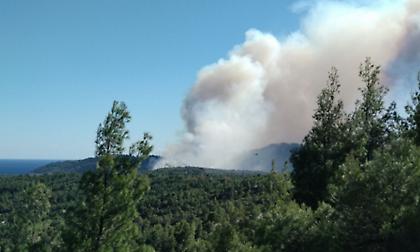 Φωτιά στο δάσος Δραγουντέλι στη Χαλκιδική